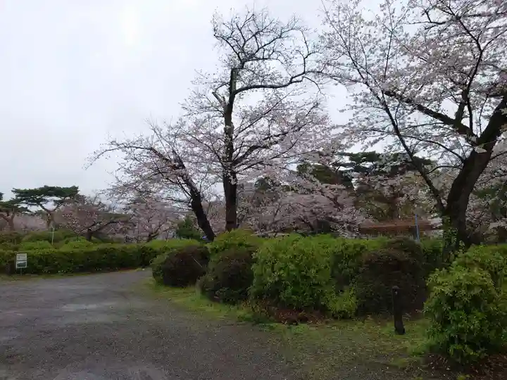 霊犬神社の自然