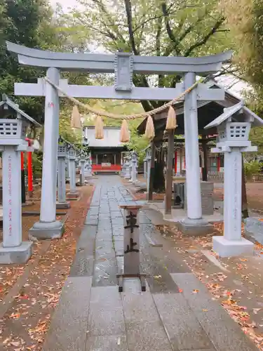 芳川神社の鳥居