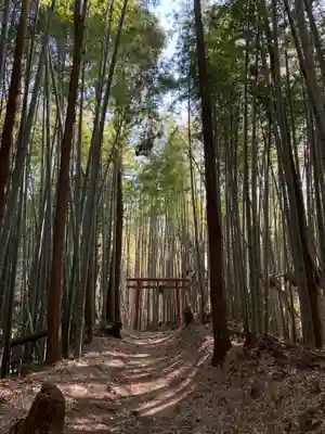 稲倉神社の自然