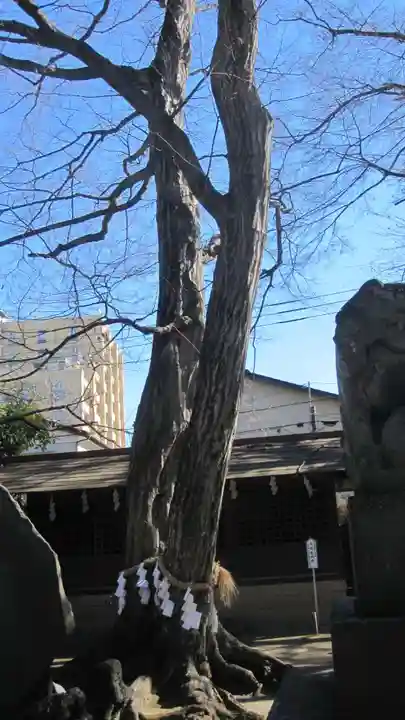 本太氷川神社(埼玉県)