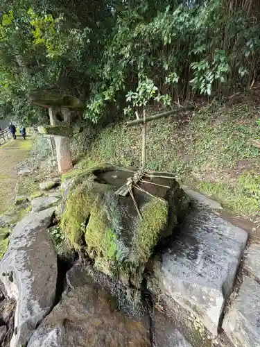 神魂神社の{uncategorized: "未分類", other: "その他", undefined: "問題あり", building: "その他建物", grave: "お墓", sacred_gate: "鳥居", guardian: "狛犬", statue: "像", buddha: "仏像", history: "歴史", nature: "自然", garden: "庭園", animal: "動物", pagoda: "塔", temizu: "手水舎", mountain_gate: "山門・神門", sanctuary: "本殿・本堂", subordinate: "末社・摂社", art: "芸術", scenery: "景色", jizo: "地蔵", ema: "絵馬", goshuin: "御朱印", omikuji: "おみくじ", items: "授与品その他", amulet: "お守り", goshuincho: "御朱印帳", eats: "食事", festival: "お祭り", votive_dance: "神楽", shichigosan: "七五三参", wedding: "結婚式", experience: "体験その他", initially: "初詣", around: "周辺", anti_infection: "感染症対策"}