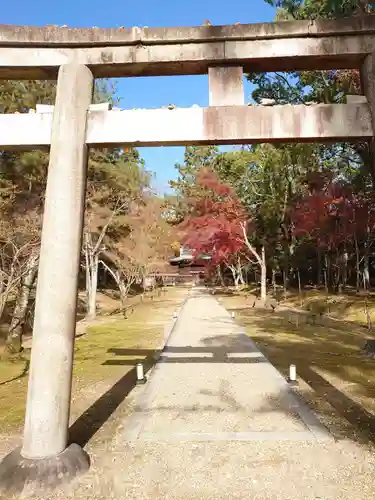 仁和寺の鳥居