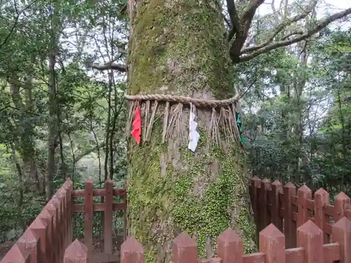 二上神社の自然