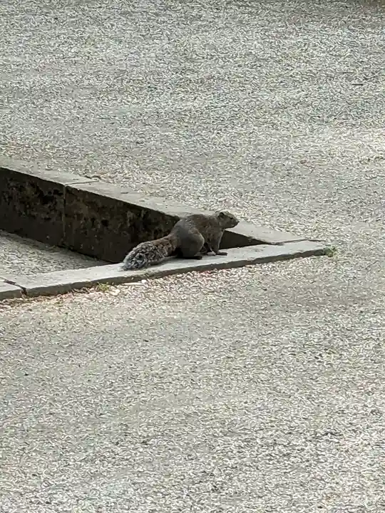 明月院(神奈川県)