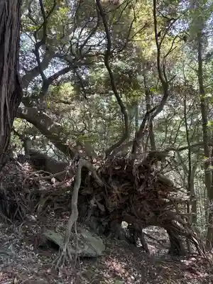 佐志能神社(茨城県)