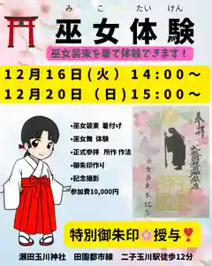 瀬田玉川神社(東京都)(2025年11月22日(土) 12時12分30秒投稿)