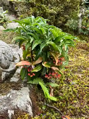 大原寺勝林院(京都府)