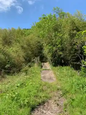 大宮神社(千葉県)