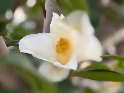 西方山極楽寺(岐阜県)