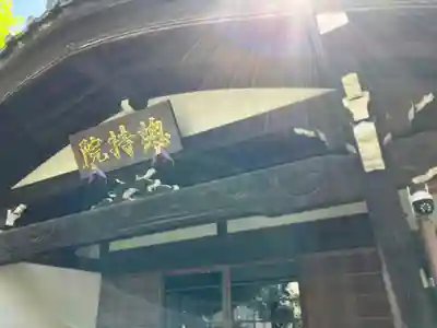 總持院(谷中不動尊)(東京都)