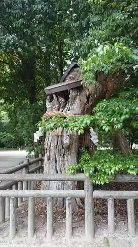 賀茂御祖神社（下鴨神社）の自然