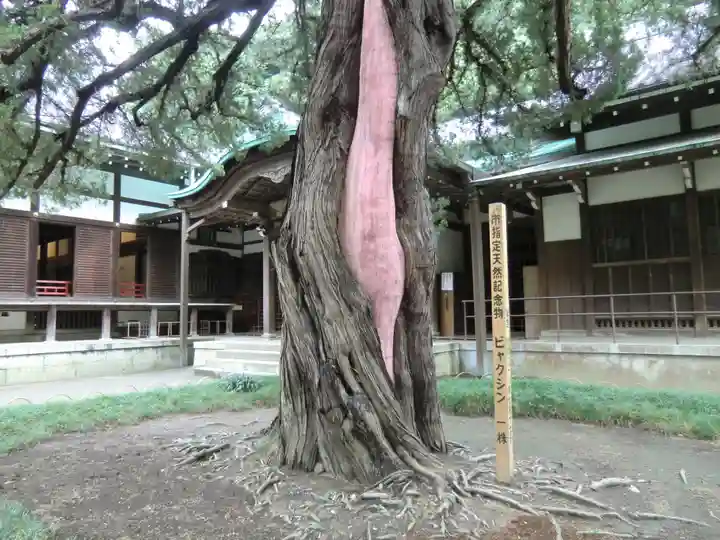 円覚寺(神奈川県)