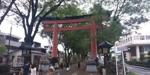 武蔵一宮氷川神社の鳥居