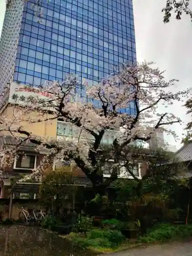 常圓寺(東京都)