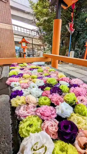 上目黒氷川神社の手水