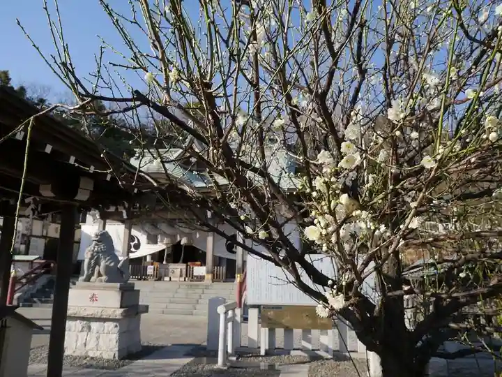 本牧神社の自然