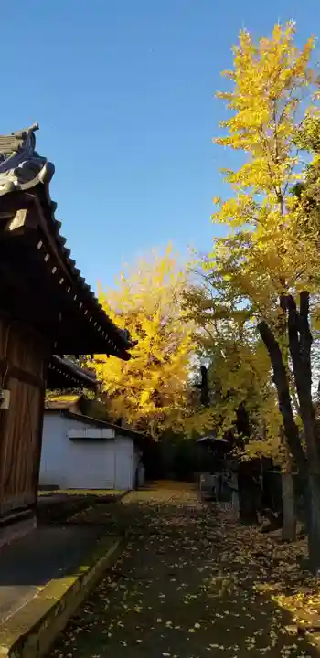 大瀬氷川神社のその他建物