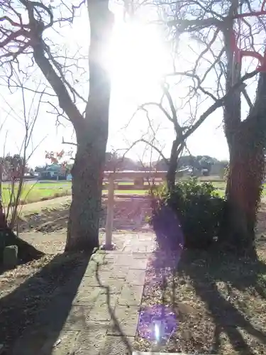 神明神社(千葉県)