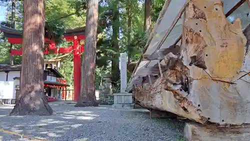 伊佐須美神社(福島県)