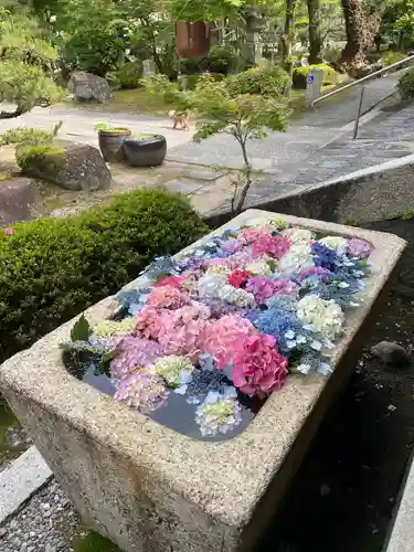 伊勢の国 四天王寺の手水舎