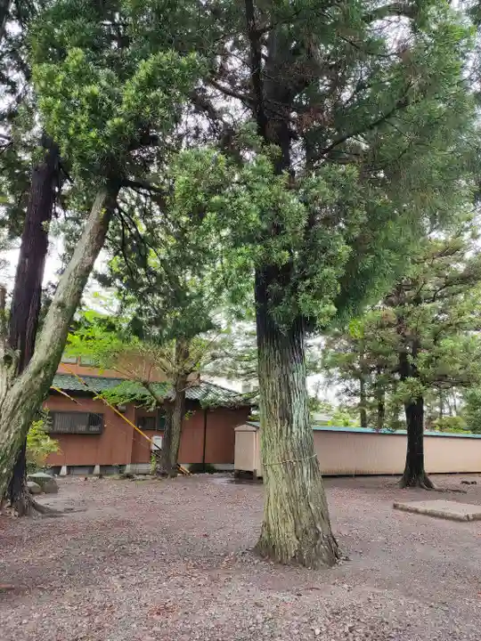 大井神社(静岡県)