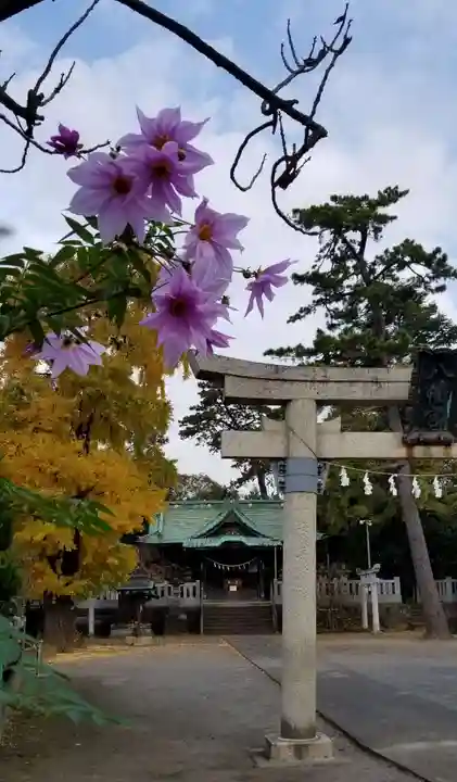 大曽根八幡神社(埼玉県)