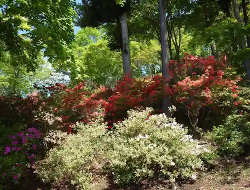 本輪西八幡神社(北海道)