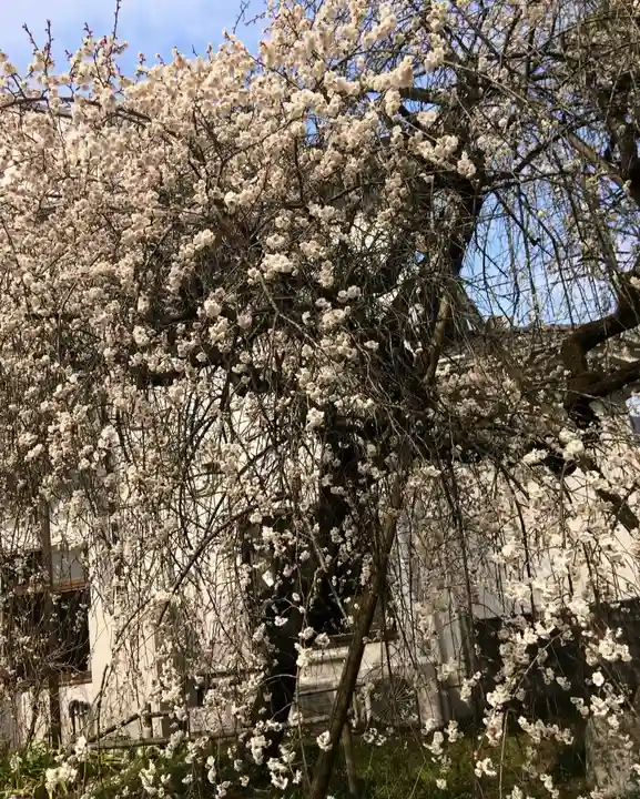 梅園神社の自然