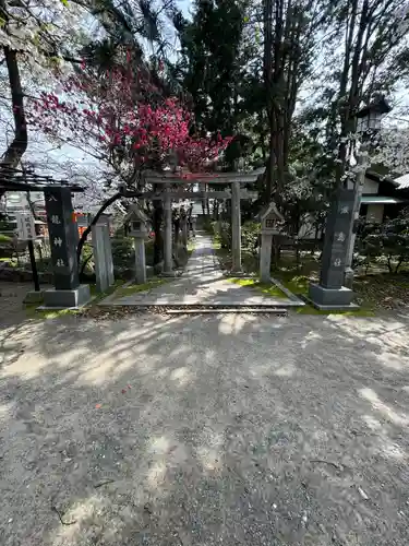 真清田神社(愛知県)