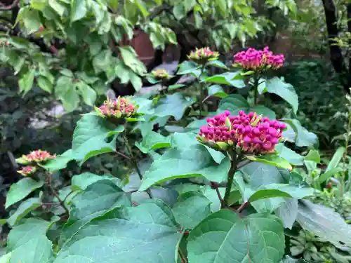 大巧寺(神奈川県)