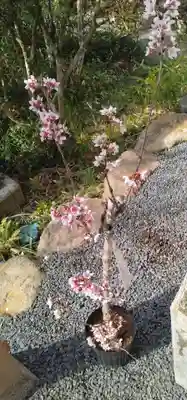 熊野神社(宮城県)