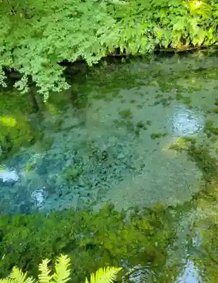 白川吉見神社(熊本県)