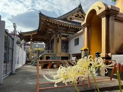 福王山  慈眼寺(東京都)