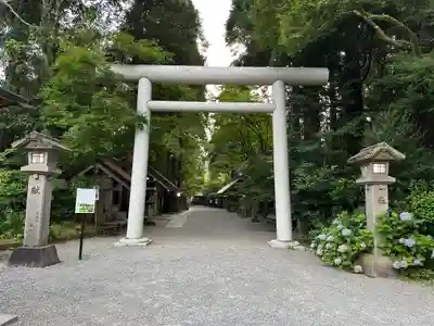天岩戸神社(宮崎県)