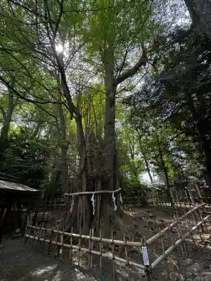 大國魂神社(東京都)