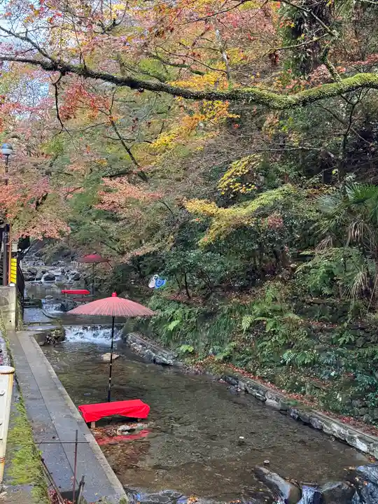 貴船神社結社(京都府)