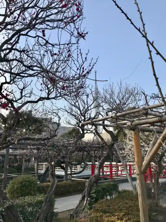 亀戸天神社(東京都)