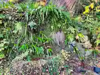 諏訪神社の手水舎