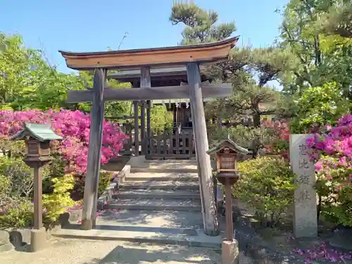 誉田八幡宮の鳥居