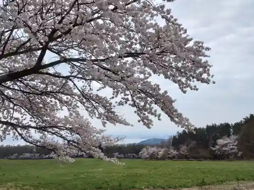 土津神社｜こどもと出世の神さま(福島県)