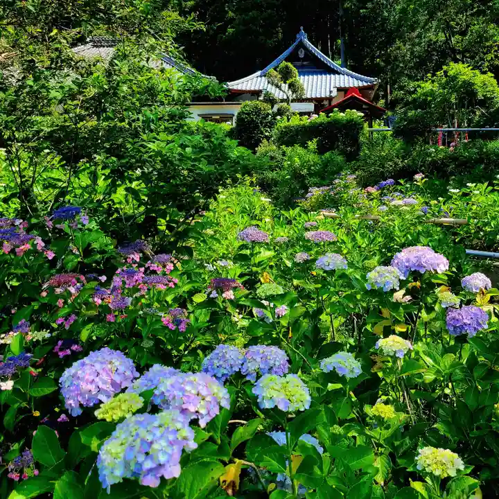極楽寺(静岡県)