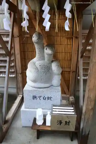 蛇窪神社の狛犬