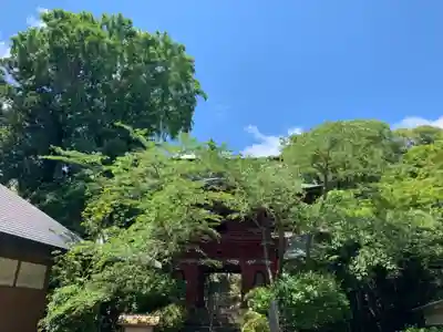 清水寺(千葉県)