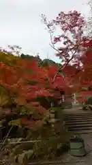 鍬山神社(京都府)