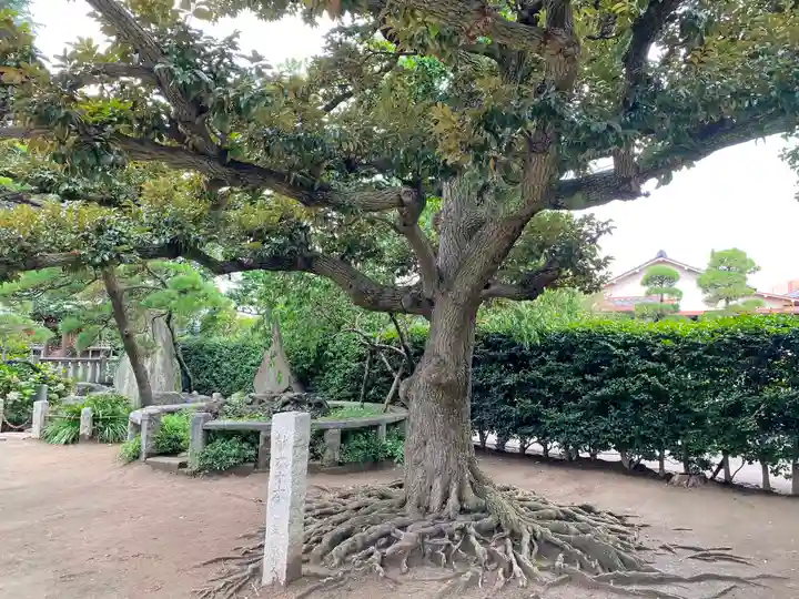 薭田神社の自然