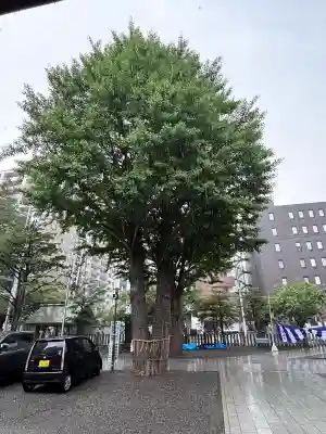 北海道神宮頓宮(北海道)