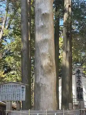 諏訪大社(長野県)