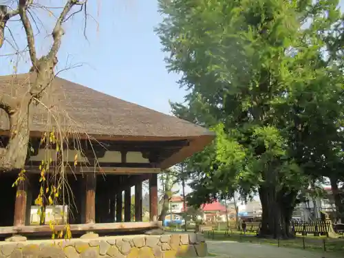 新宮熊野神社のその他建物