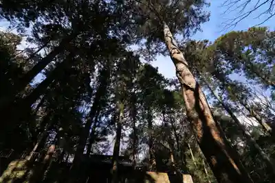 苗代田神社の自然