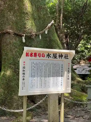水屋神社(三重県)